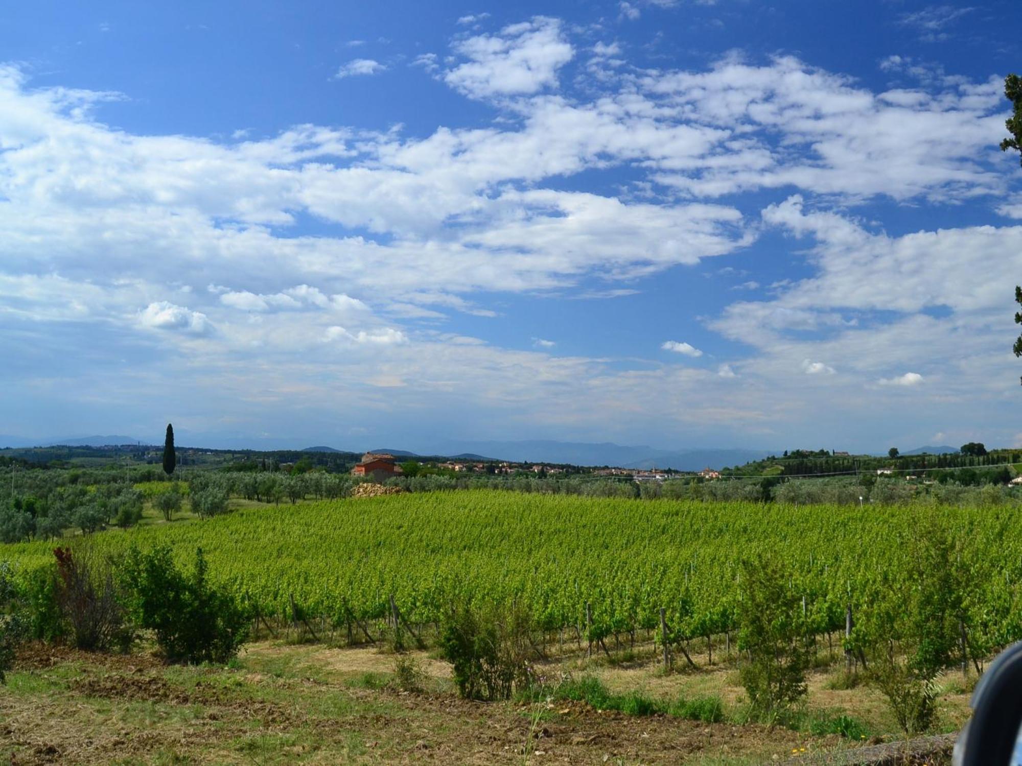 Lovely Holiday Home In Montefiridolfi With Hill View Exteriör bild